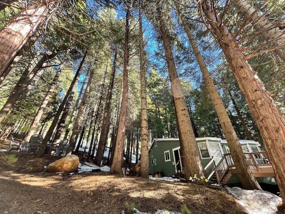 Cedar Oasis - Home Base To Big Trees 아놀드 외부 사진