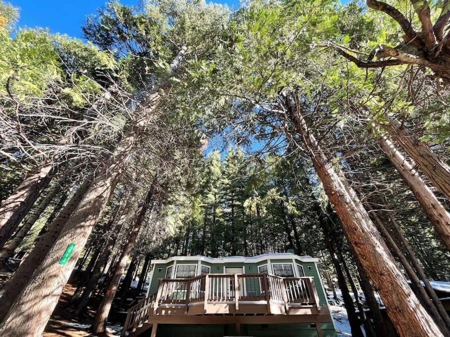 Cedar Oasis - Home Base To Big Trees 아놀드 외부 사진