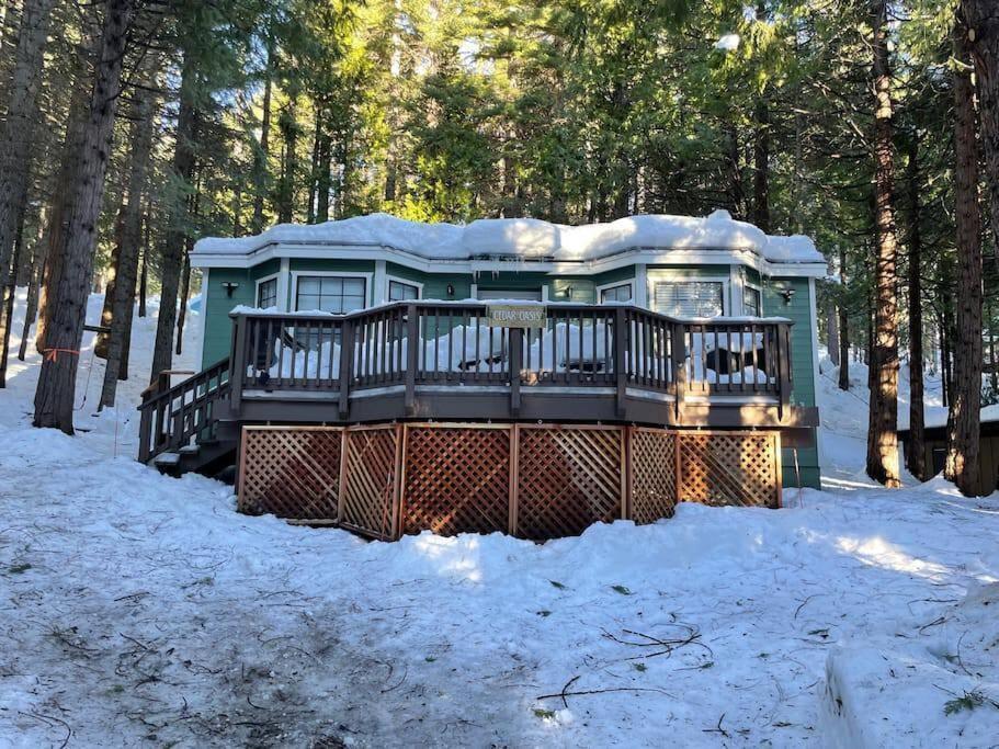 Cedar Oasis - Home Base To Big Trees 아놀드 외부 사진